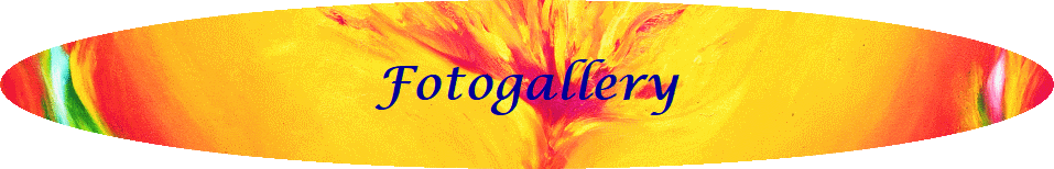 Fotogallery