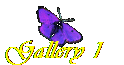 Gallery 1