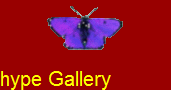 hype Gallery